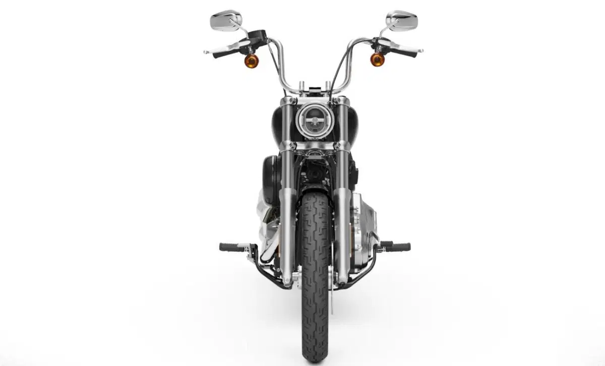 Harley-Davidson Softail-Cruiser Softail Standard (2021 - 25) (7)