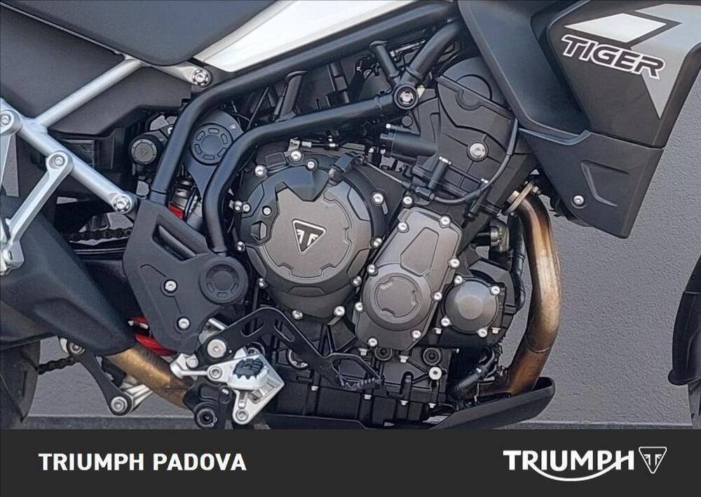 Triumph Tiger 900 GT Pro (2020 - 23) (3)