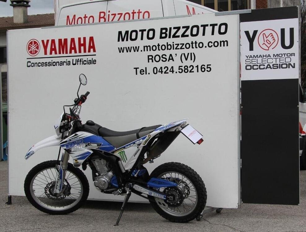 Yamaha WR 250 (2016) (3)