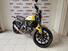 Ducati Scrambler 800 Icon (2017 - 20) (6)