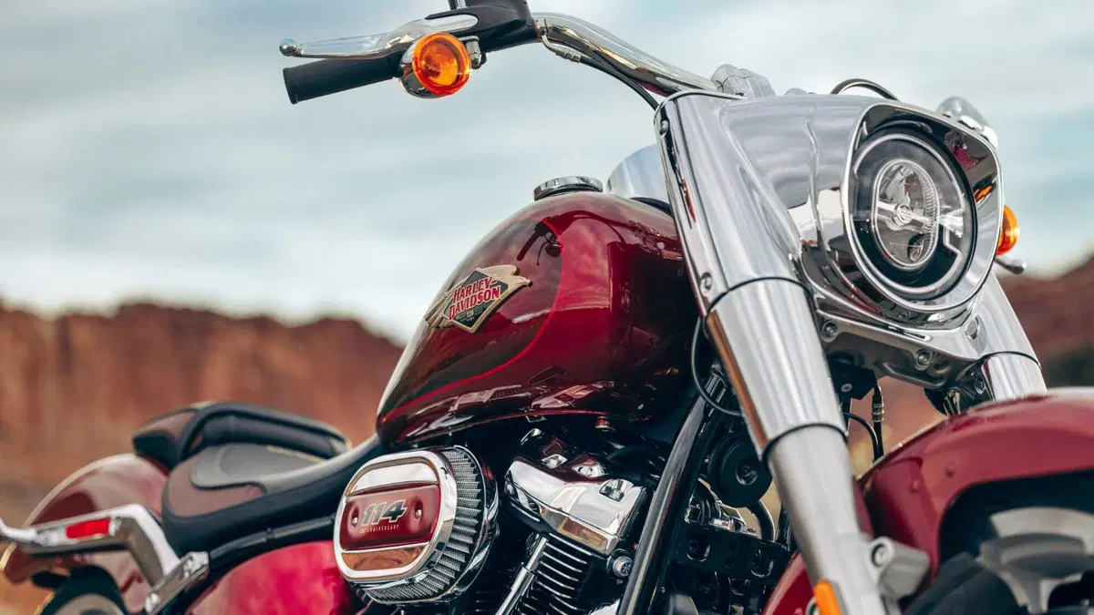 Harley-Davidson Softail-Cruiser Fat Boy 114 Anniversary (2023) (3)