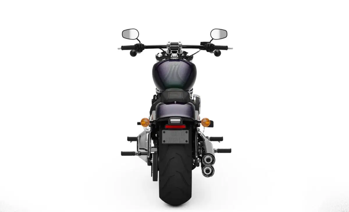 Harley-Davidson Softail-Cruiser Breakout (2021 - 22) (2)