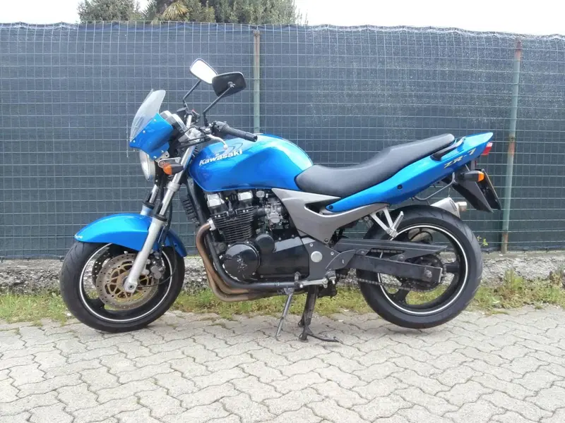 Kawasaki ZR-7 (2001 - 04) (5)