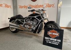Harley-Davidson 1250 V-Rod (2008 - 12) - VRSCAW usata