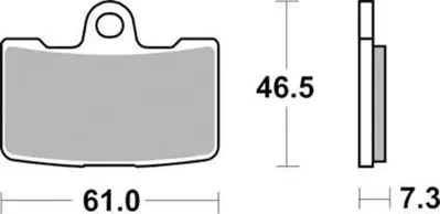 Pastiglie anteriori sinterizzate per Buell 1125R / Ferodo