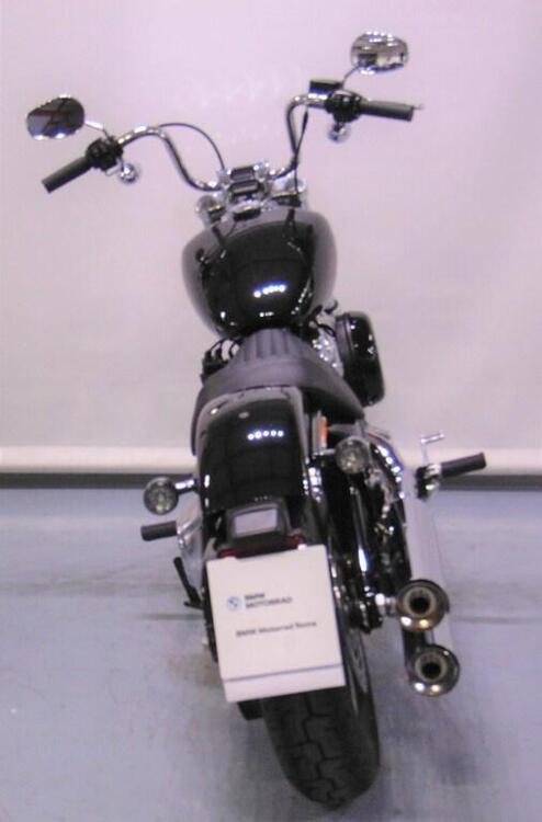 Harley-Davidson Softail Standard (2021 - 24) (4)