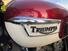 Triumph Tr6 R (11)