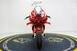 Ducati Panigale V4 Bagnaia 2022 World Champion Replica (2023) (6)