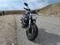 Ducati Monster 821 Dark ABS (2014 - 16) (6)