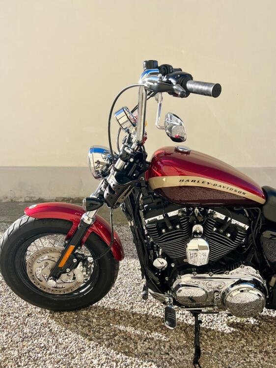 Harley-Davidson 1200 Custom (2018 - 20) - XL1200C (3)