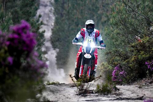 World Rally-Raid. Schareina e Al Attiyah, monologhi in Portogallo [GALLERY] (9)