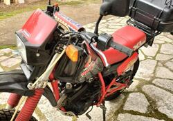 Honda XLR 350 d'epoca