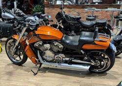 Harley-Davidson 1250 V-Rod Muscle (2009 - 17) - VRSCF usata
