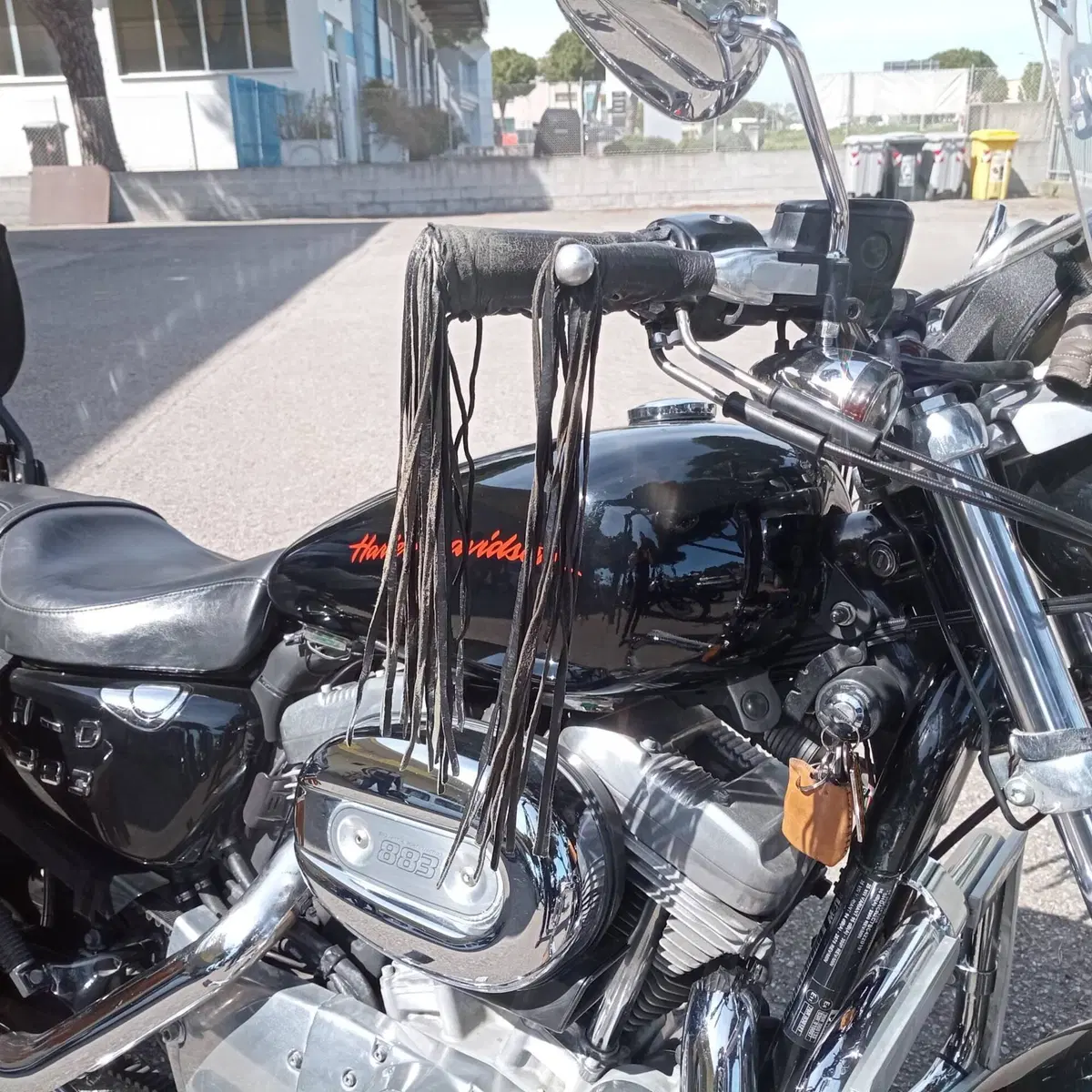 Harley-Davidson 883 Low (2008 - 12) - XL 883L (3)