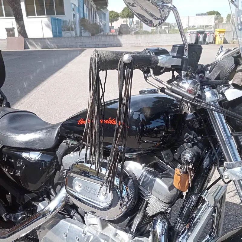 Harley-Davidson 883 Low (2008 - 12) - XL 883L (3)