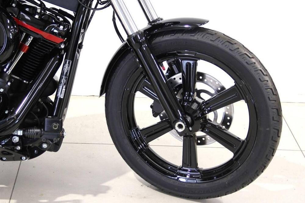 Harley-Davidson Softail Standard (2021 - 24) (2)
