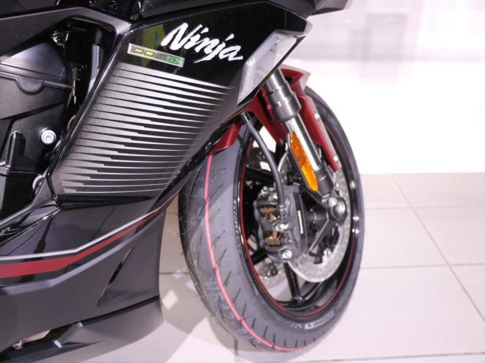 Kawasaki Ninja 1000 SX (2021 - 24) (5)