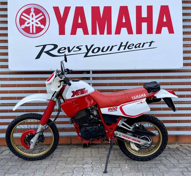 Yamaha XT 600 (1984 - 98) (2)