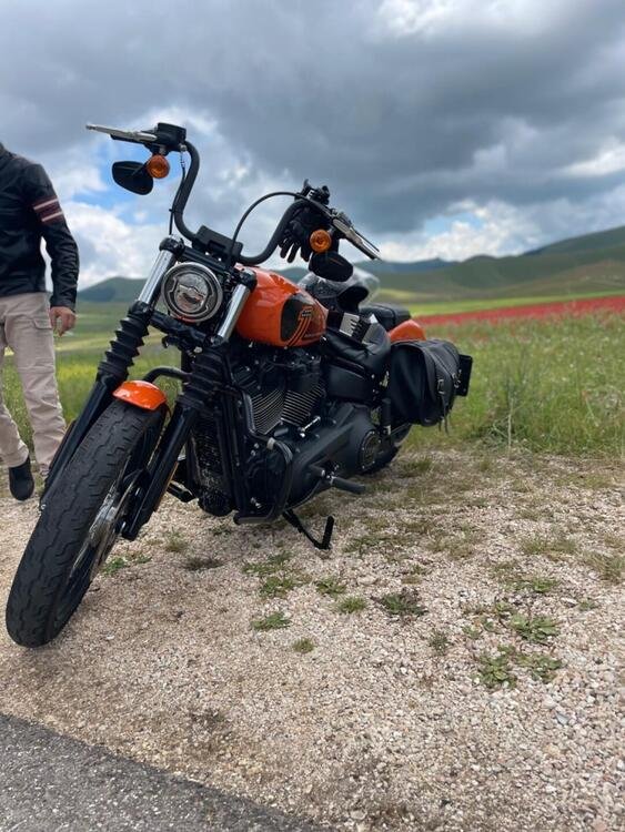 Harley-Davidson 107 Street Bob (2018 - 20) - FXBB (3)