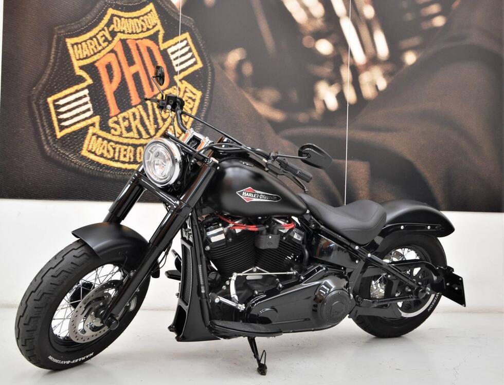 Harley-Davidson 107 Slim (2018 - 20) - FLSL (2)