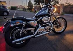 Harley-Davidson Sportster 1200 100th edition d'epoca