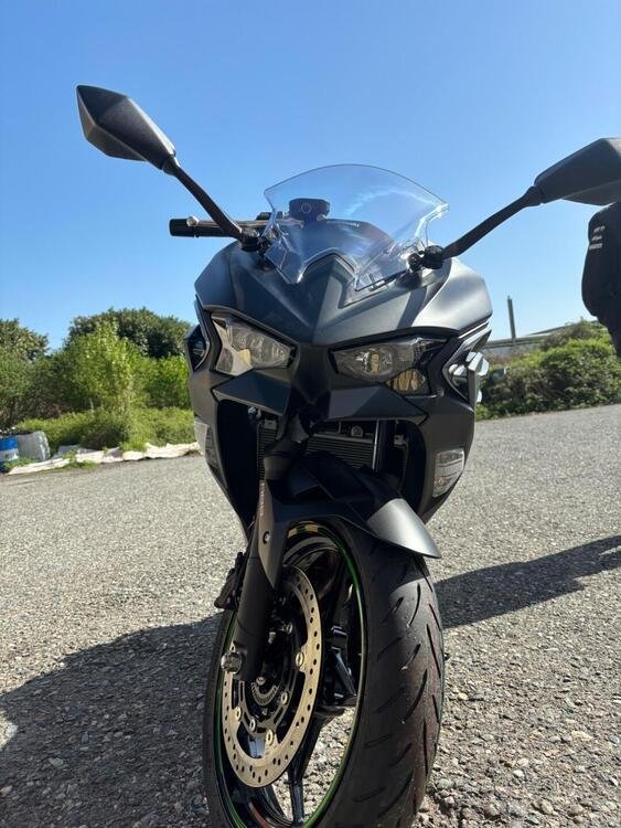 Kawasaki Ninja 500 SE (2024) (4)