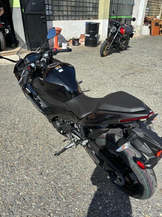 Kawasaki Ninja 500 (2024) (3)
