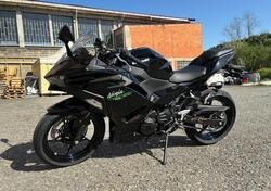 Kawasaki Ninja 500 (2024) nuova