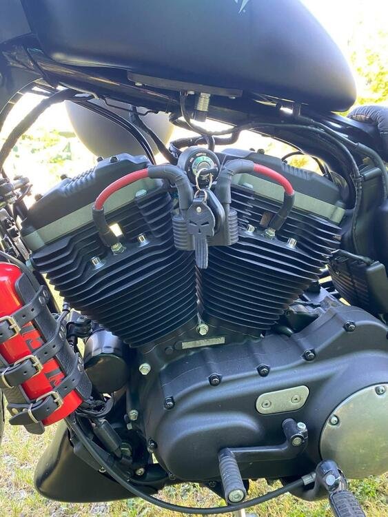 Harley-Davidson 883 Iron (2012 - 14) - XL 883N (3)