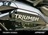 Triumph Tiger 1200 Rally Pro (2022 - 23) (8)