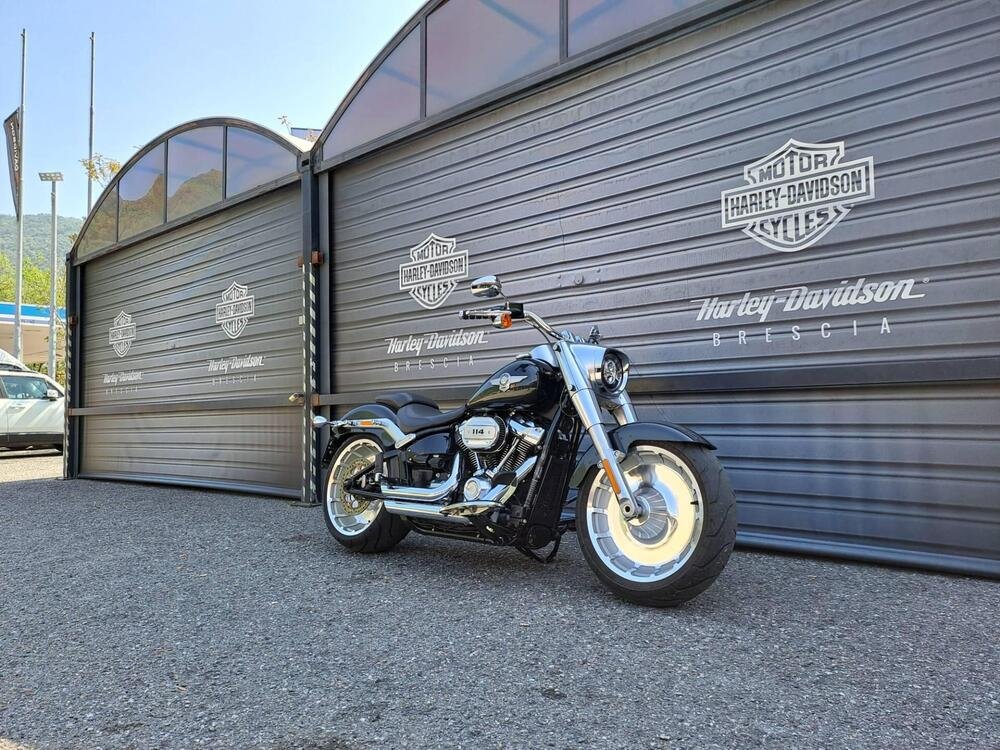 Harley-Davidson 114 Fat Boy (2018 - 20) - FLFBS (2)