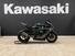 Kawasaki Ninja 1000 ZX-10R (2021 - 24) (8)