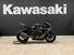 Kawasaki Ninja 1000 ZX-10R (2021 - 24) (9)