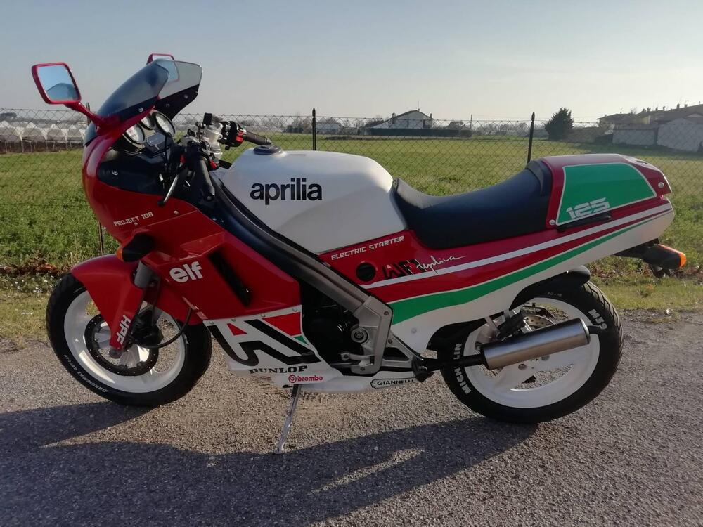 Aprilia AF1 Project 108 Loris Reggiani Replica  (3)