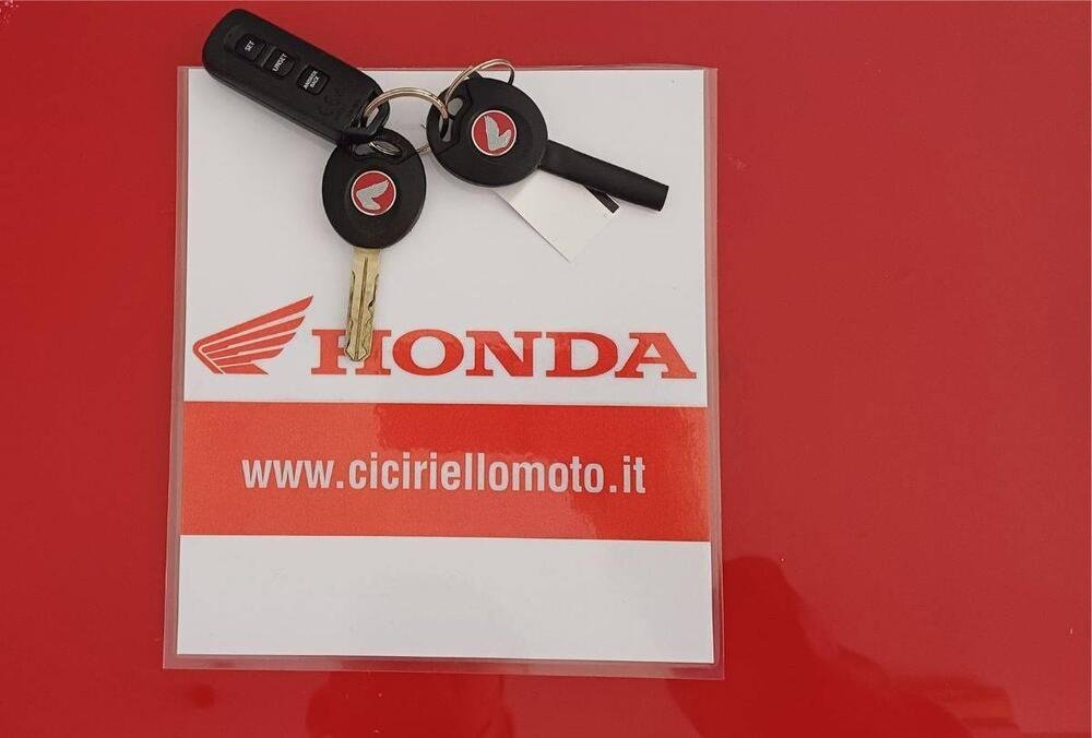 Honda Monkey 125 (2018 - 20) (4)