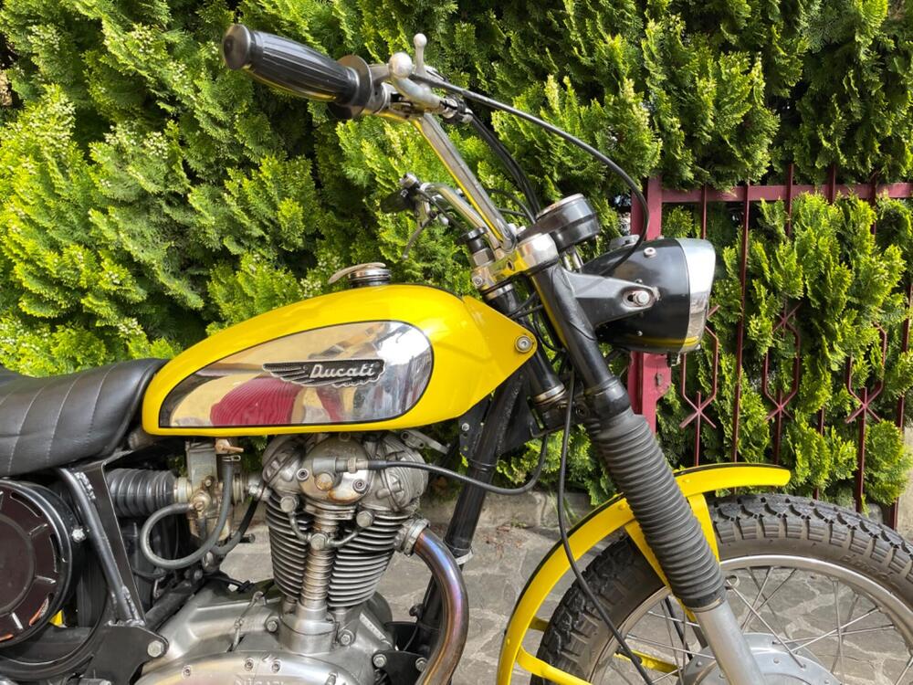 Ducati Scrambler