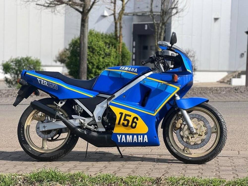 Yamaha TZR 250 2MA (2)