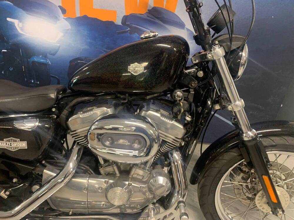 Harley-Davidson 883 Low (2006 - 07) - XL 883L (2)
