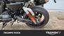 Harley-Davidson 1200 XR X (2010 - 12) (20)