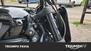 Harley-Davidson 1200 XR X (2010 - 12) (17)