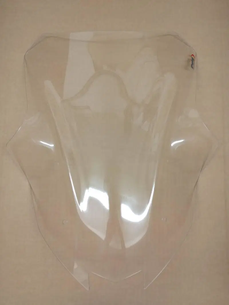 Cupolino Racing Puig Kawasaki Ninja 1000 SX