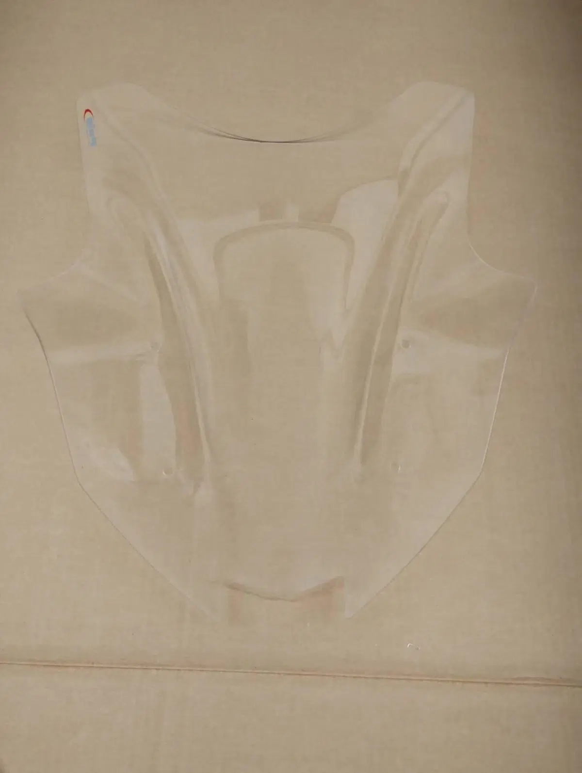Cupolino Racing Puig Kawasaki Ninja 1000 SX (4)
