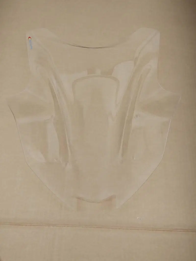 Cupolino Racing Puig Kawasaki Ninja 1000 SX (4)