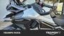 Triumph Tiger 1200 GT Pro (2022 - 23) (9)
