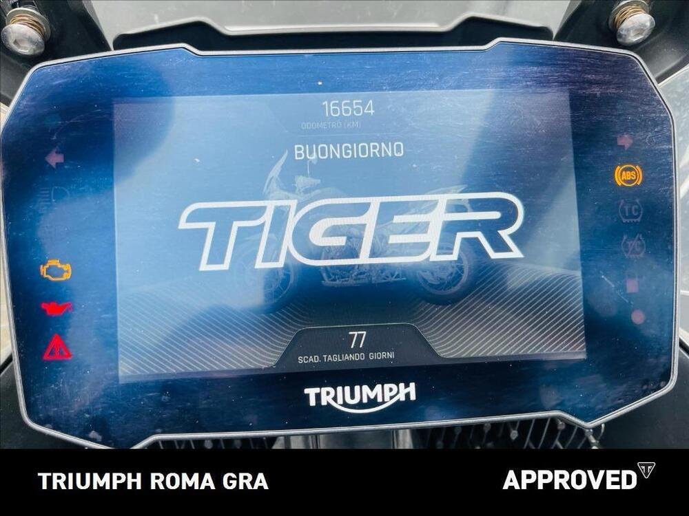 Triumph Tiger 900 GT Pro (2024) (4)