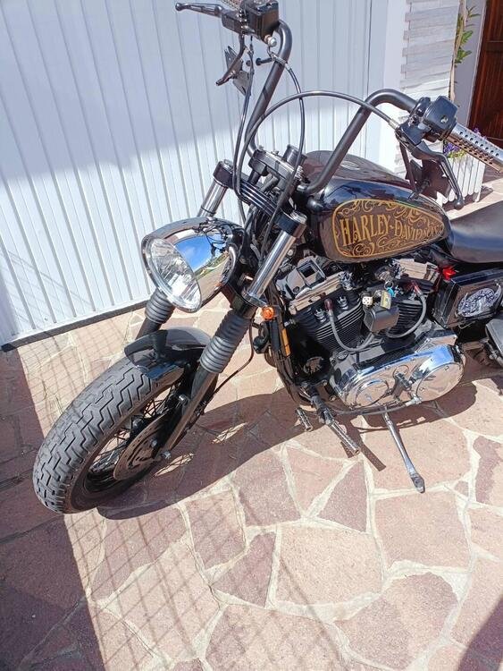 Harley-Davidson 883 Standard (2001 - 05) - XL 883 (5)