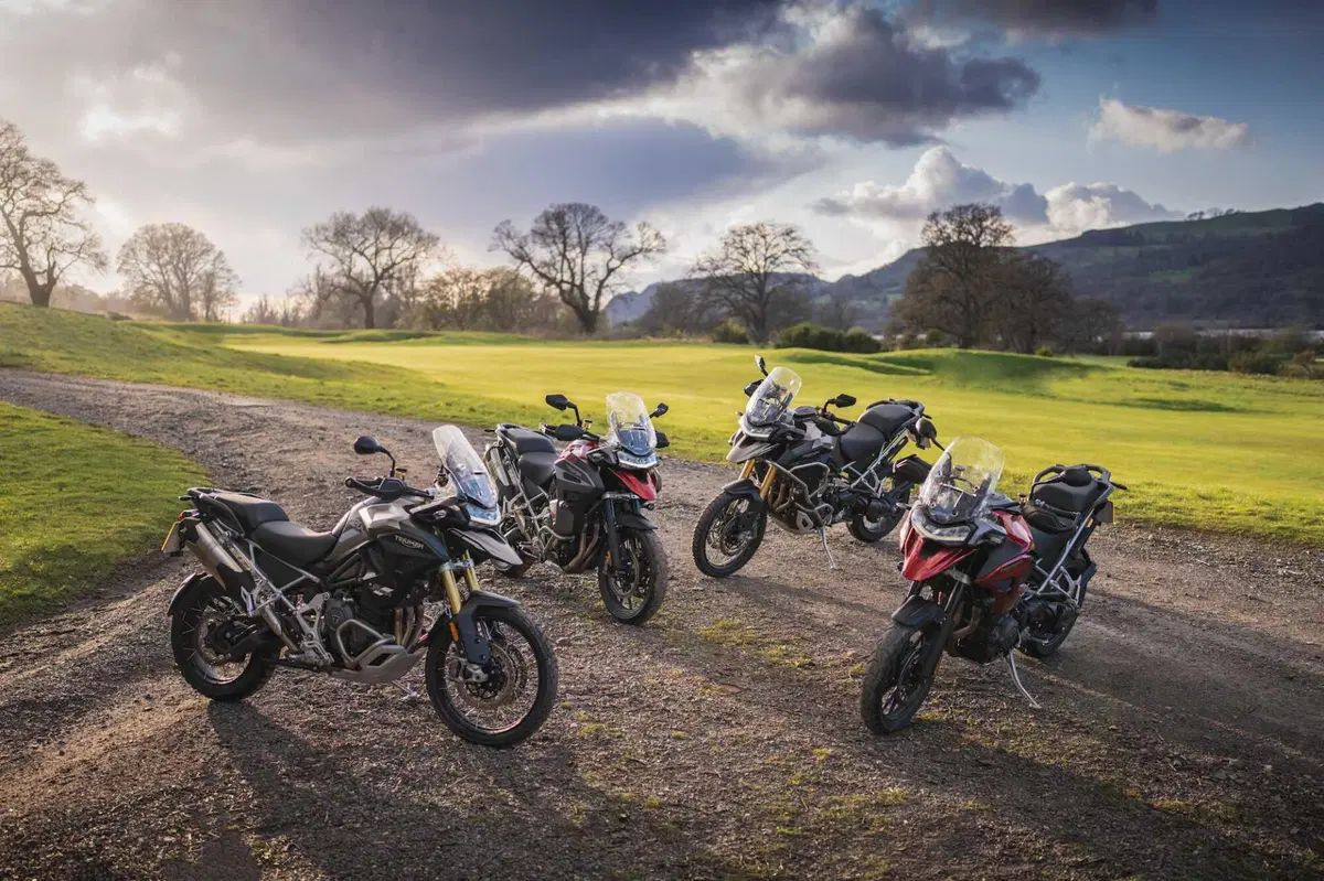 Gamma Triumph Tiger 1200 2024: una per tutti (6)