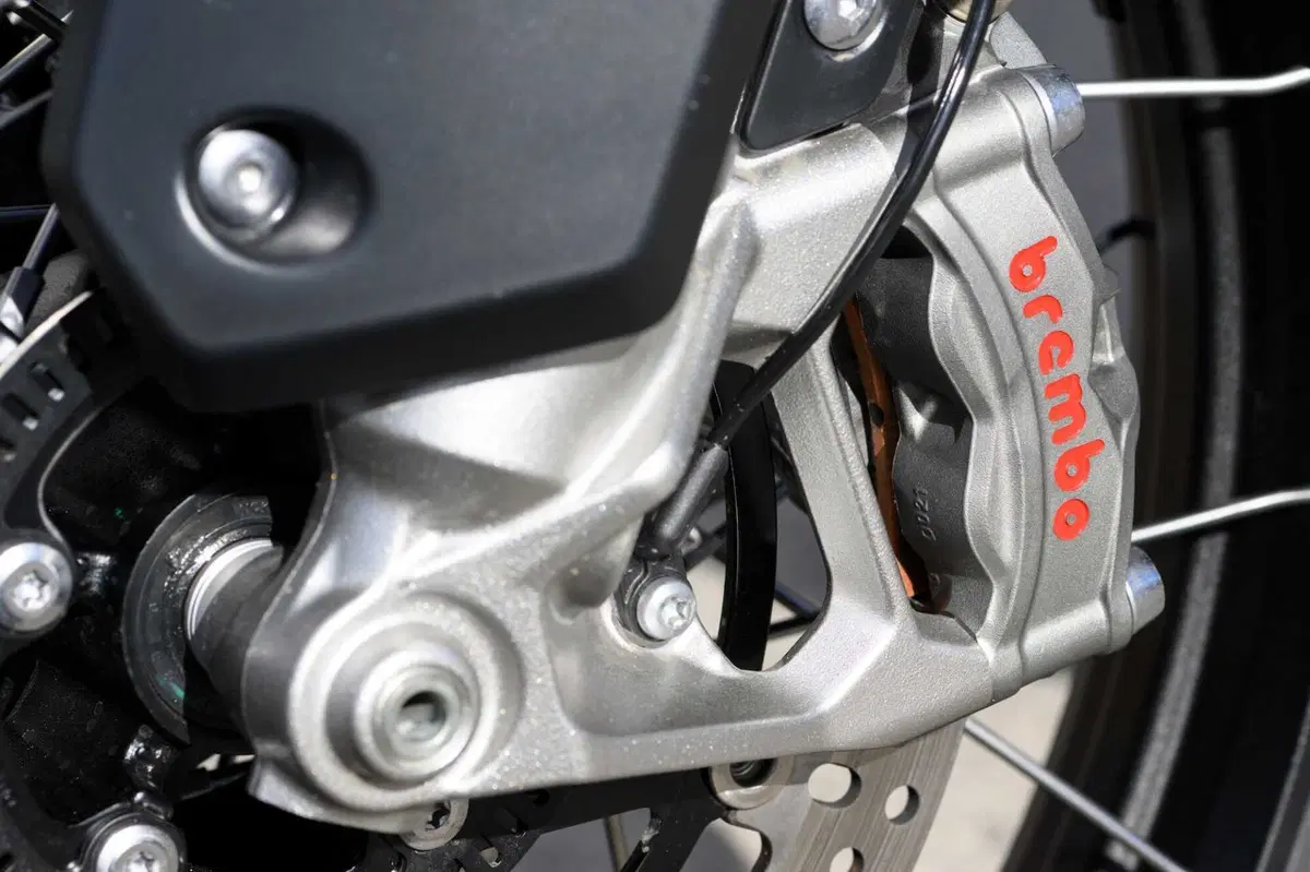 Gamma Triumph Tiger 1200 2024: una per tutti (18)