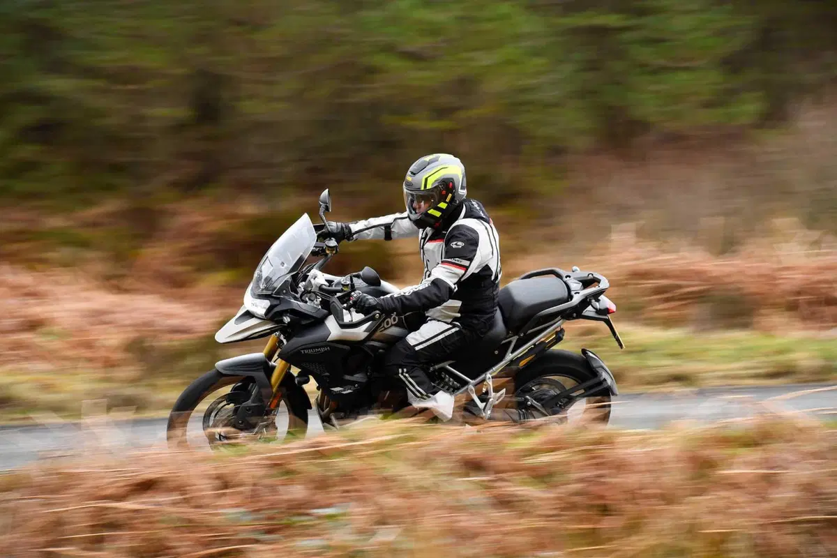 Gamma Triumph Tiger 1200 2024: Una per tutti