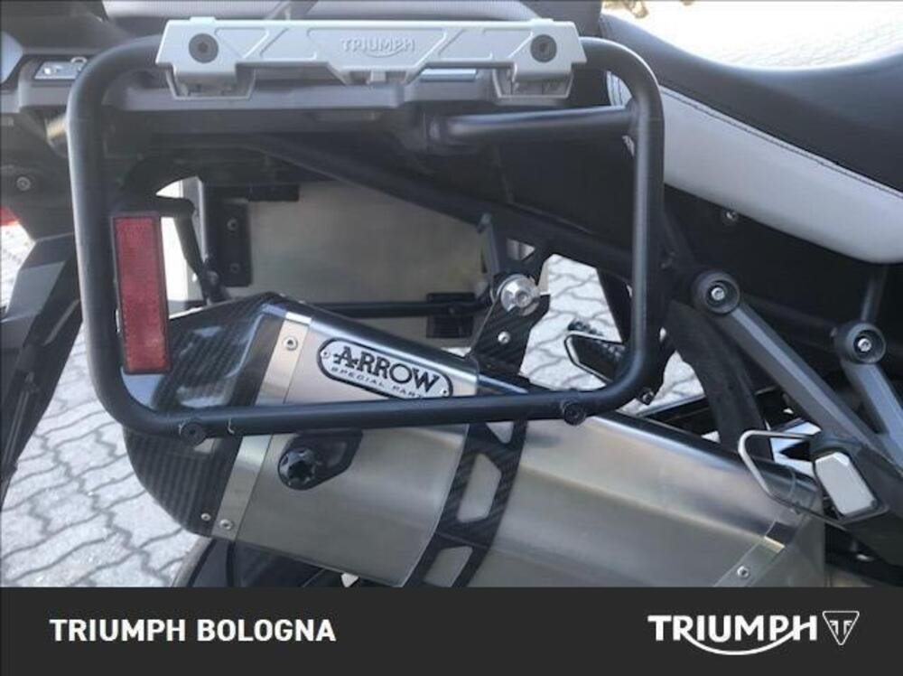 Triumph Tiger 1200 Alpine Edition (2020) (3)